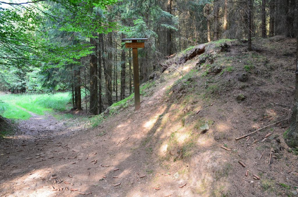 Wohlfuehlhotel Der Jaegerhof Willebadessen エクステリア 写真